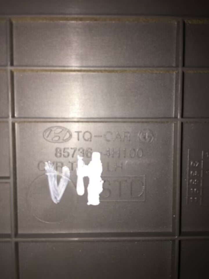 Hyundai H1 Travel Bj 2008-Blende