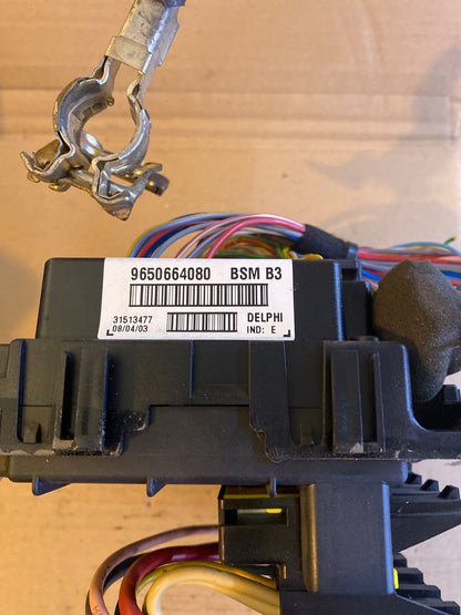 Peugeot Citroen Sicherungskasten 9650664080